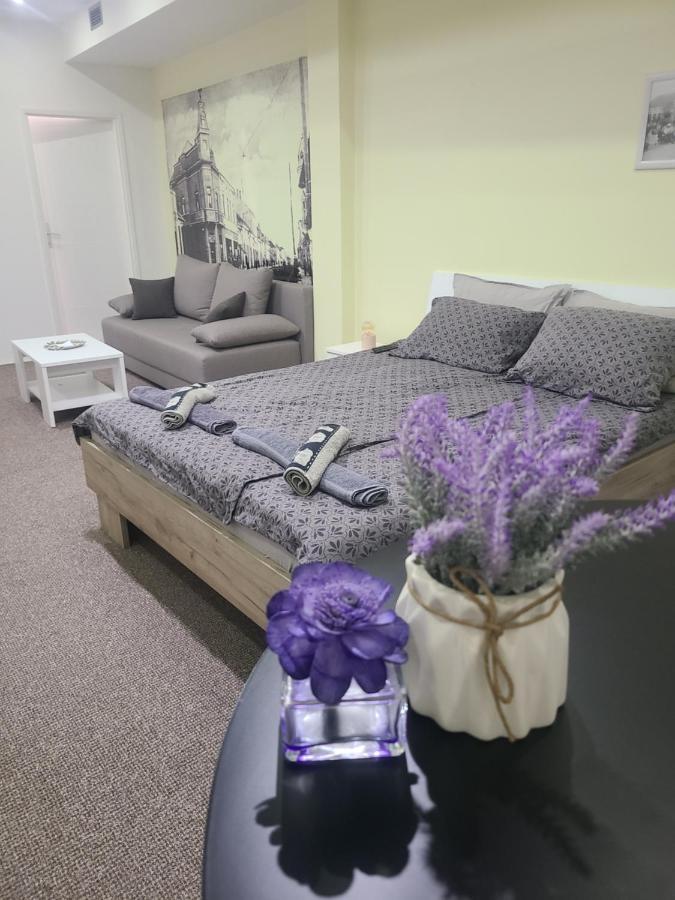 Stari Zajecar Apartments Room photo